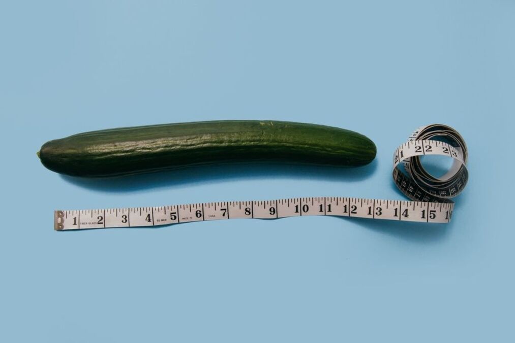Penis size measurement using the example of cucumber
